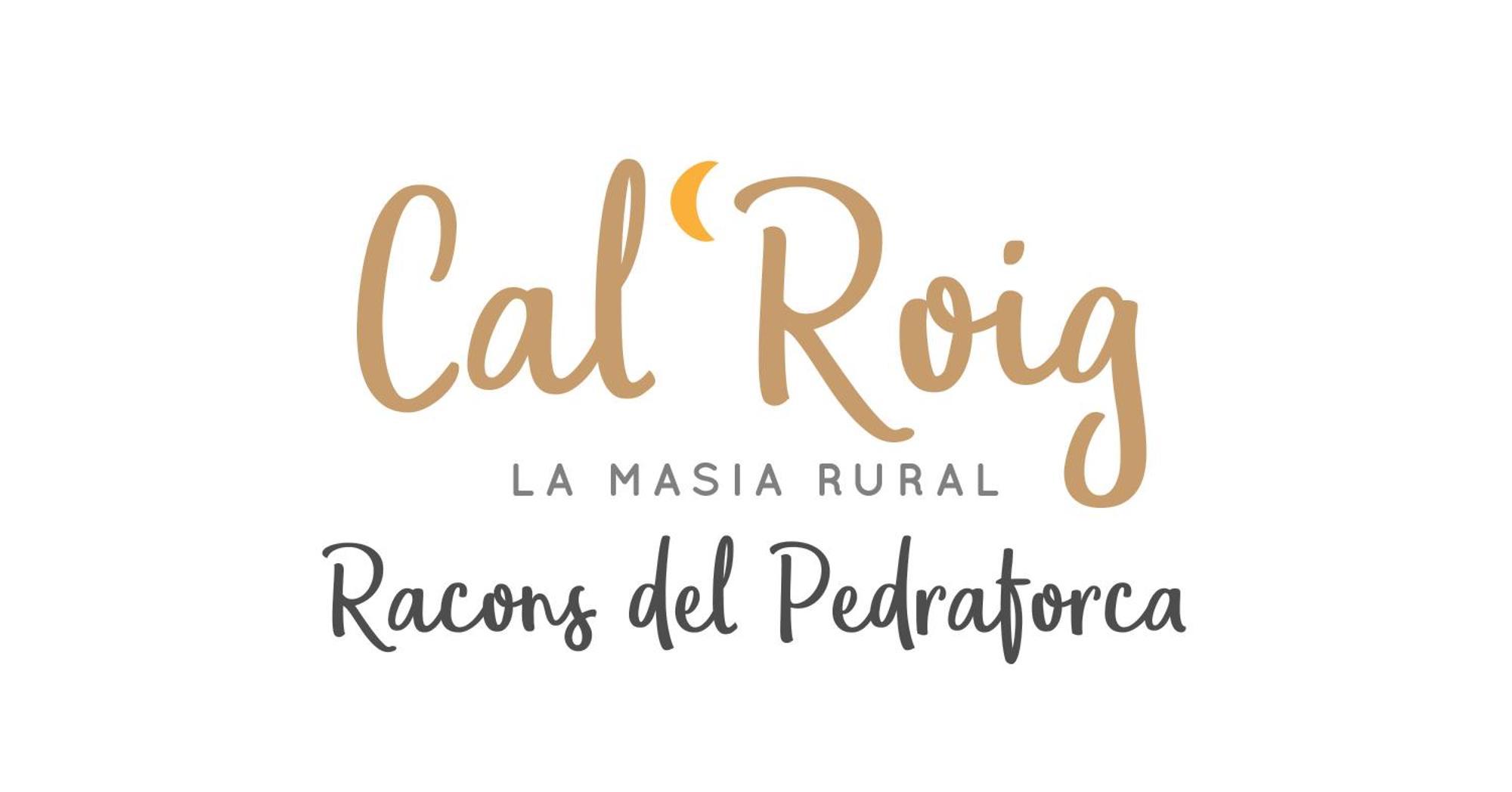 萨尔德斯Cal Roig - Pedraforca别墅 外观 照片
